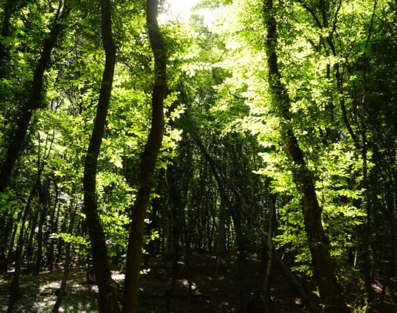 photo 1593590915365 e5cc3159bcad