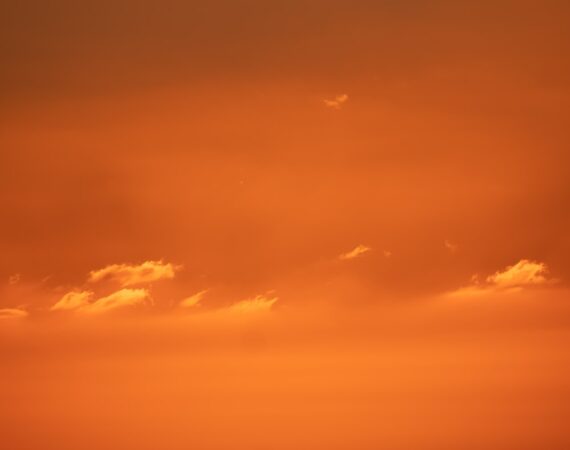 photo 1593791335760 f99675477733