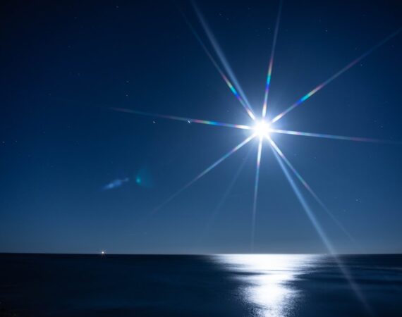 photo 1594116640715 b8262ed62ea0