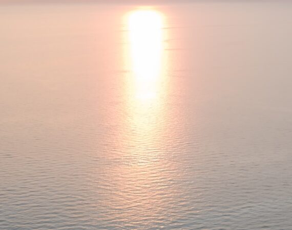 photo 1598802777631 0d1d399a771f