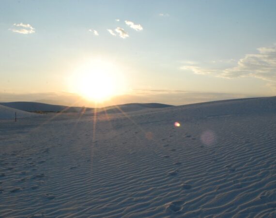 photo 1599276771098 8bbb4b4b15e2