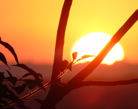 太陽能發電技術如何幫助企業實現綠色可持續發展 4 photo 1603289701307 83899b598029