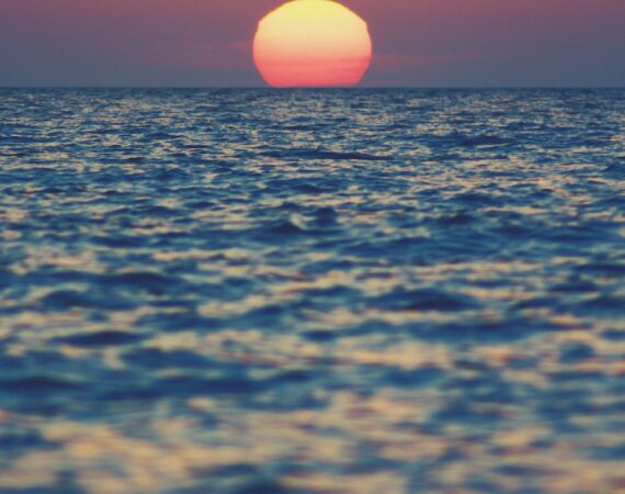 photo 1606389031232 45bbafc53b1c