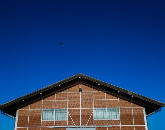 photo 1608744510937 5b8821266c66