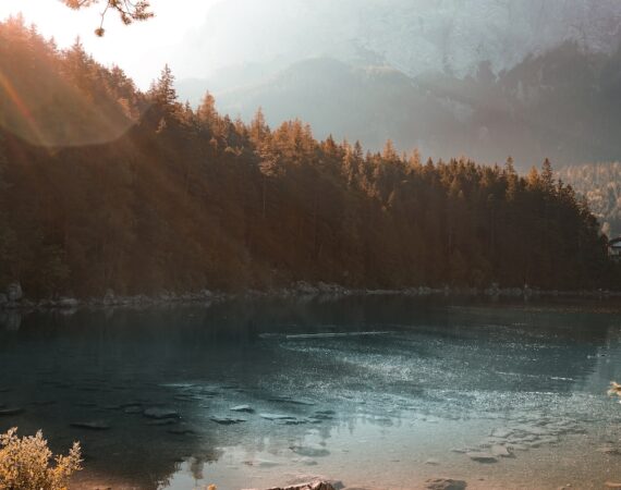 太陽能可再生能源法案的重要性及未來發展 6 photo 1612292741055 612f12bd0e50