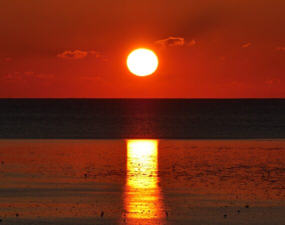 photo 1618662038056 9b5f420197c3