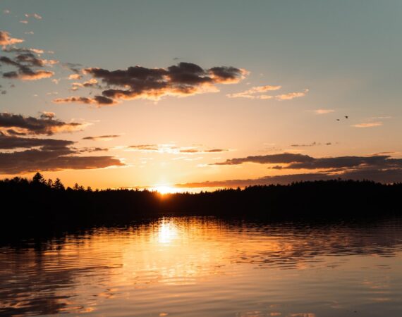 太陽能政策的成功案例與可借鏡之處 4 photo 1621263573282 18b0521f457b