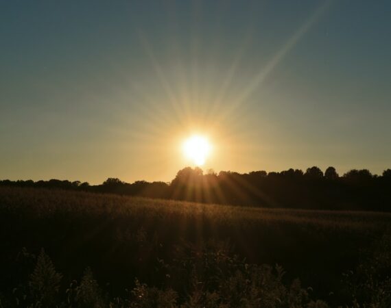 太陽能綠能發展的優勢與挑戰 6 photo 1621431735623 95fcba6b89ae