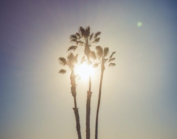 photo 1622583745832 2e68b8057f19