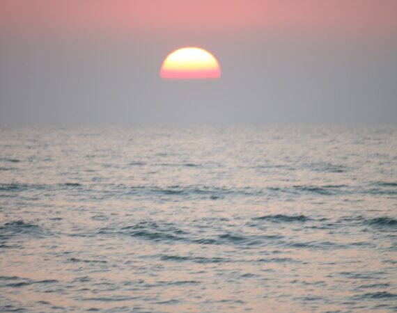 photo 1629277017060 bf7e39cfdb98