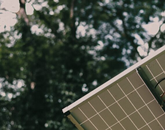 photo 1629517797006 684204844ac5