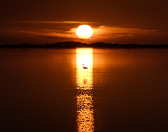 太陽能電網:未來能源的可持續發展 1 photo 1635243843750 6b46f4a0aaa0