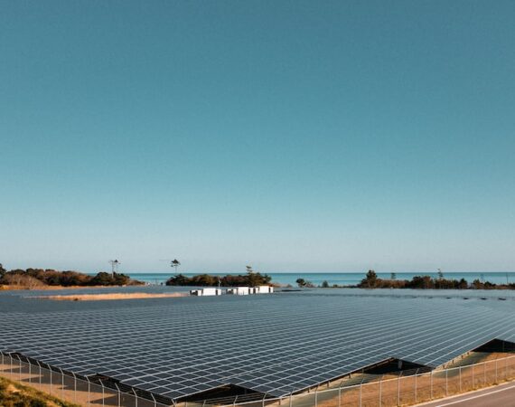 photo 1643826884444 7cf7fd46c69f