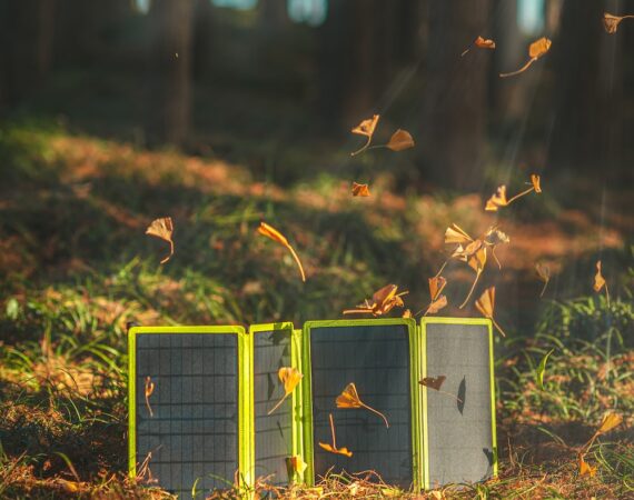 photo 1661997484632 d0bba9af7221