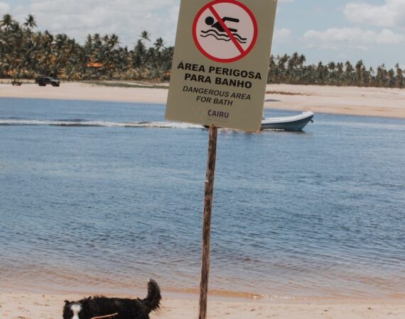 photo 1674658100480 8dad293420d7