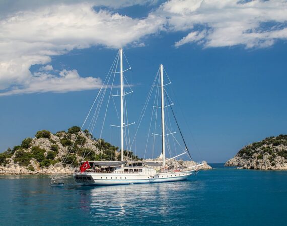 photo 1675427449458 fb224106a6aa