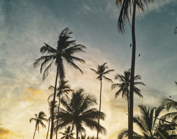 photo 1677427347267 b4f24d0d5b93