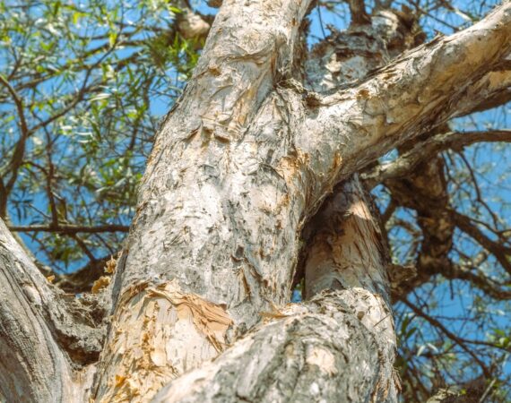 photo 1680458842136 b5bbf935231c