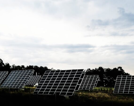 photo 1474398777522 cabeb42e8132