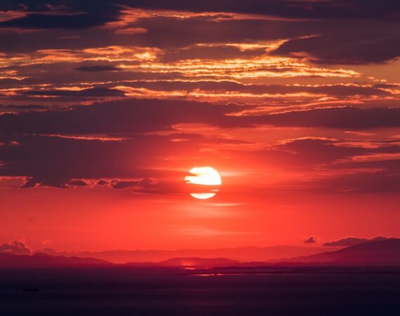 photo 1495567720989 cebdbdd97913