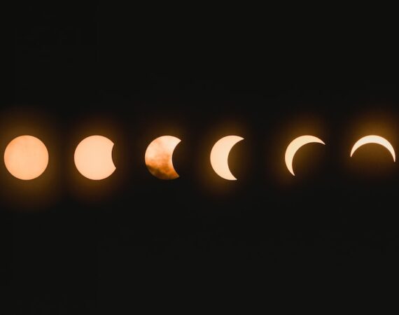 photo 1503416997304 7f8bf166c121