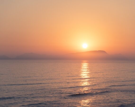 photo 1531146224492 2ffcb0de7d95