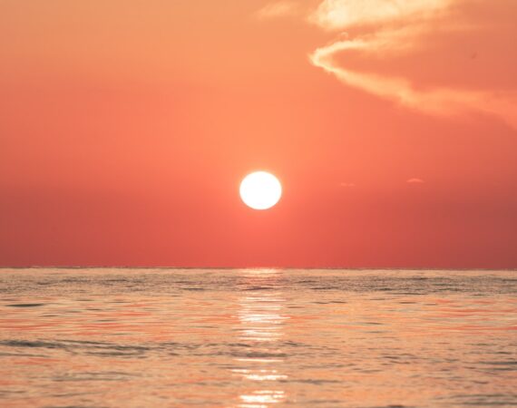 photo 1555069811 b968b57b56c0