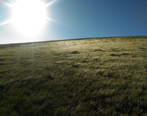 photo 1558608287 bcc54ddaa7d4