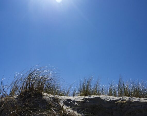 photo 1560769361 f838e6873f65