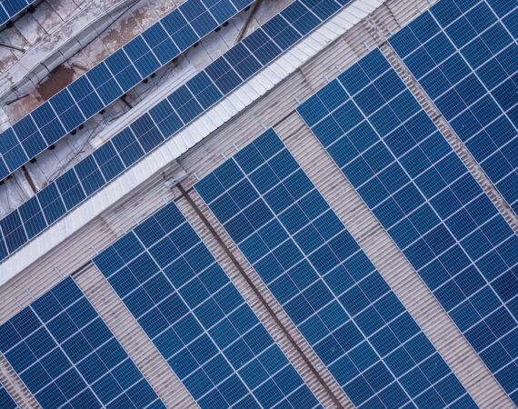 photo 1564151436289 8fc3f8ea6326