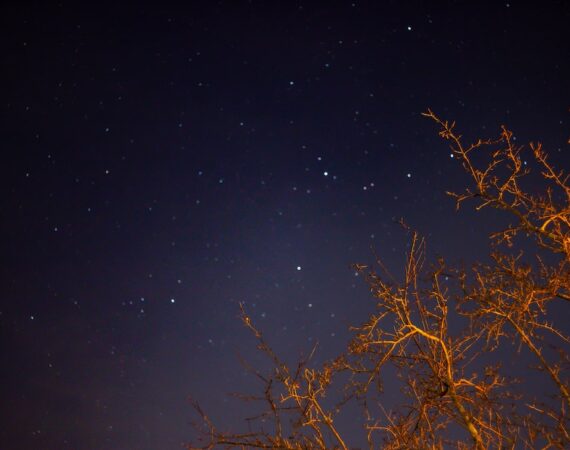 太陽能帶來的綠色環境效益 3 photo 1569199037095 ac29046ee23d