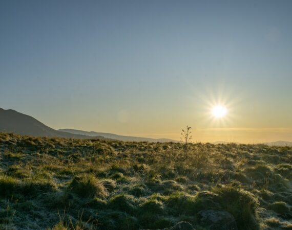 photo 1571336321382 9b6fda2a2374