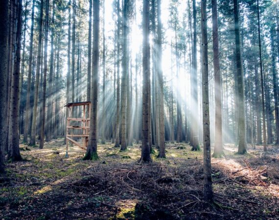 photo 1580139612475 cd60fa02e6bc