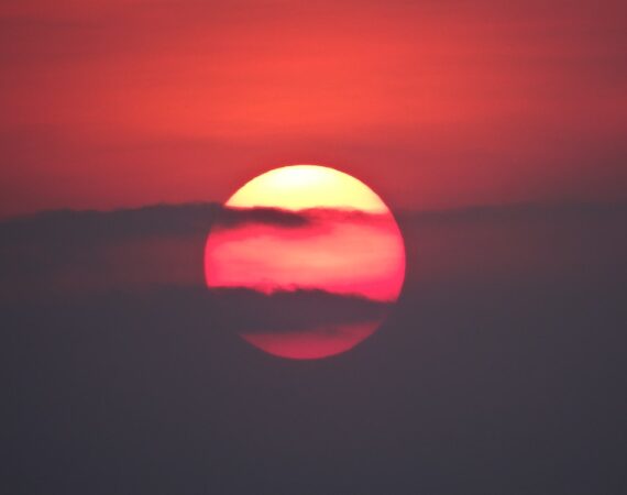 photo 1586081189643 f273896480a6