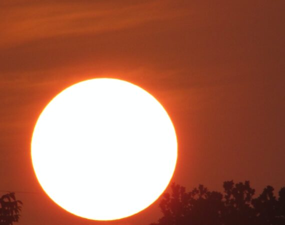 photo 1587982920746 07829391ad8a