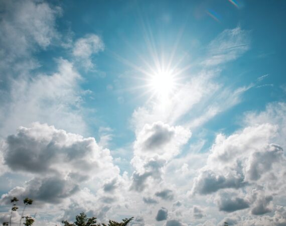 photo 1591010746236 f0fa10edf051