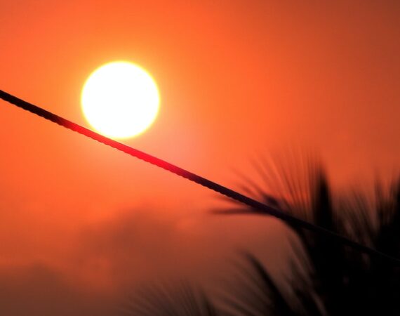 photo 1601873377921 f814867063b7