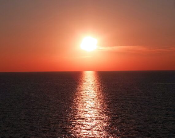 photo 1602688095571 20df01a106cd