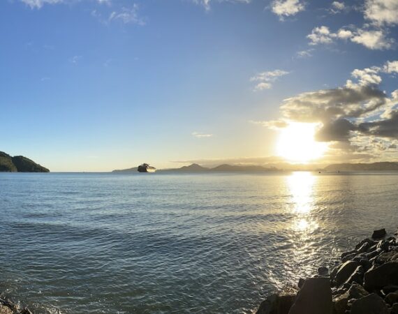 photo 1603213296678 850ba7317ce4