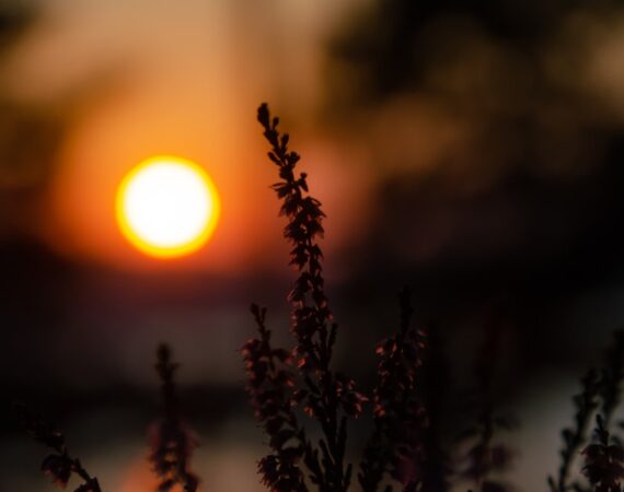 photo 1603490857535 e70f258b11eb