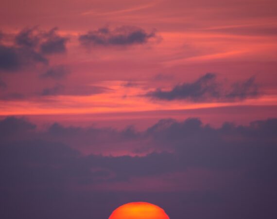 photo 1604336666465 3425f8cd96dd