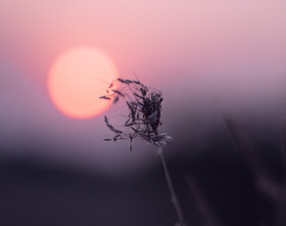 「太陽能產業的四大風險及解決策略」 1 photo 1605546335355 ab1023f2787b