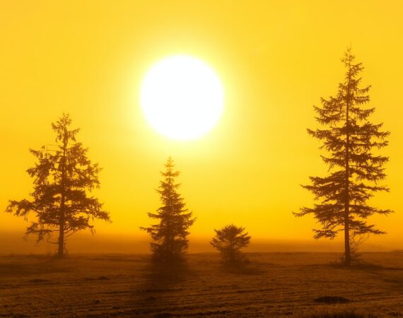 太陽能安全性:降低風險的關鍵因素 3 photo 1609668068749 afa25fa4da66