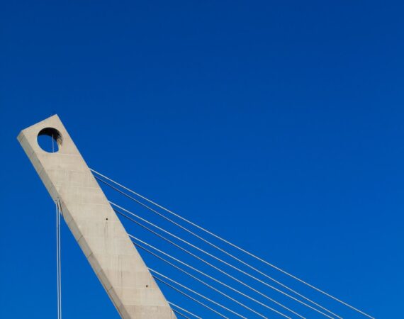 photo 1613101420800 63c9640c5d4e