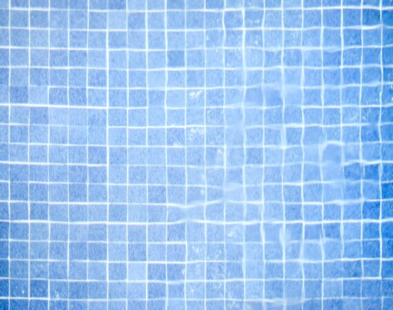 photo 1613631389724 e47543a220a1