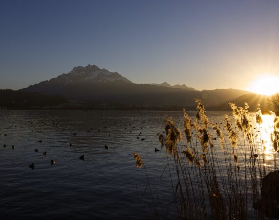 太陽能政策對台灣綠能產業的推動與挑戰 1 photo 1613856303557 38e75cd37423