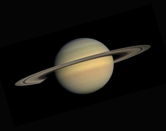 photo 1614732414444 096e5f1122d5