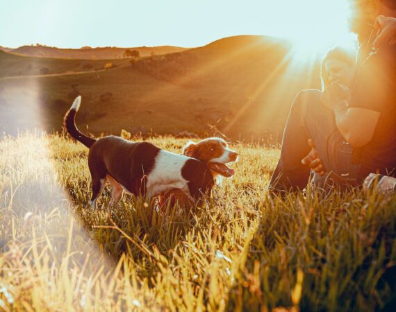 photo 1617720198134 2552ceec0f15