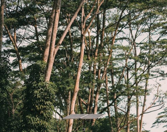 photo 1629517797912 8942c1184497