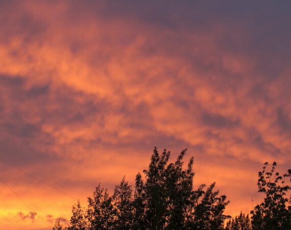 太陽能清潔與維護技巧:提升能源效益 4 photo 1633777752936 05c71ba0f86b